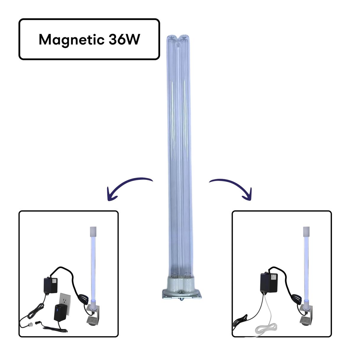BioSL36 MagShield (Magnetic) 1x Replacement Bulb