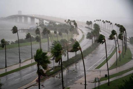 Palm trees bending in wind and heavy rain along a Florida causeway.