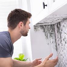 Environmental Odor