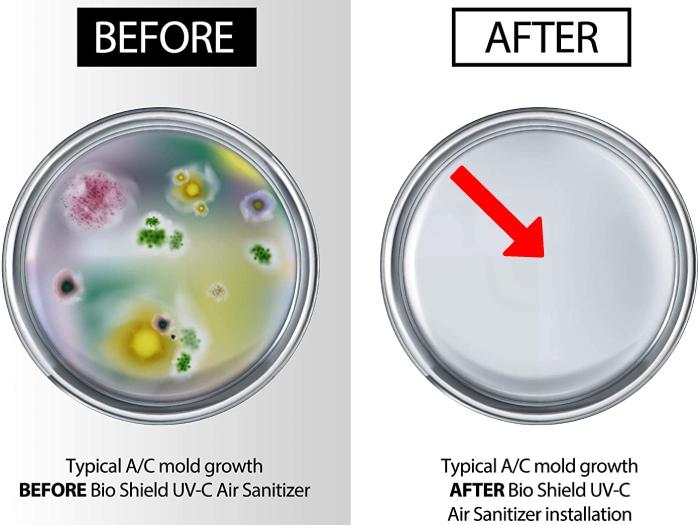 Petri dish test: A/C mold growth before and after BioShield UV-C Air Sanitizer installation