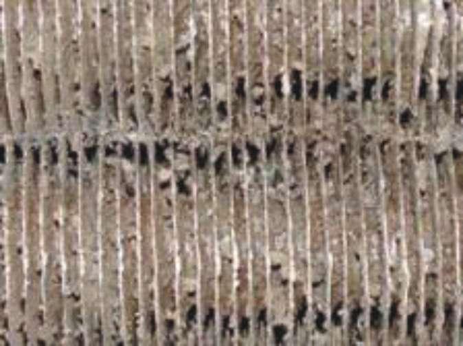 Same evaporator coil after 2 months of UV-C treatment — significant improvement
