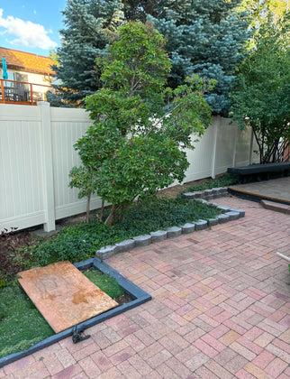 IMG 0711 1 420x420