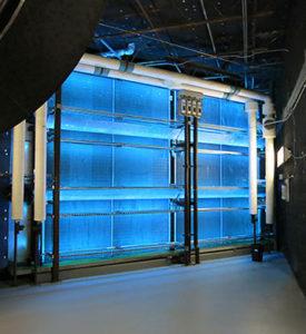 UV-C coil disinfection showing lamp illuminating return side of evaporator